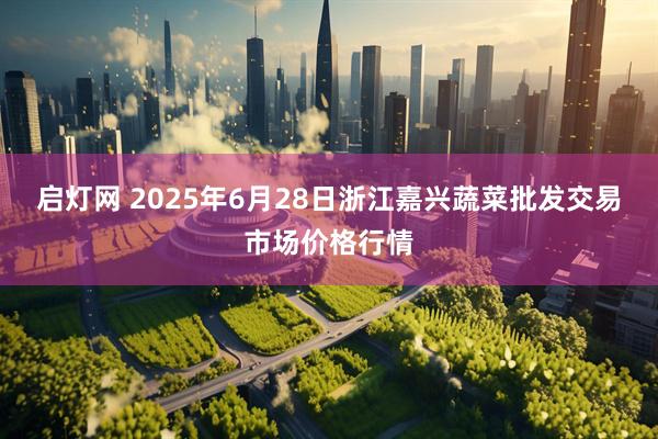 启灯网 2025年6月28日浙江嘉兴蔬菜批发交易市场价格行情
