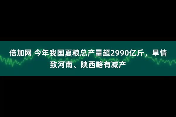 倍加网 今年我国夏粮总产量超2990亿斤，旱情致河南、陕西略有减产