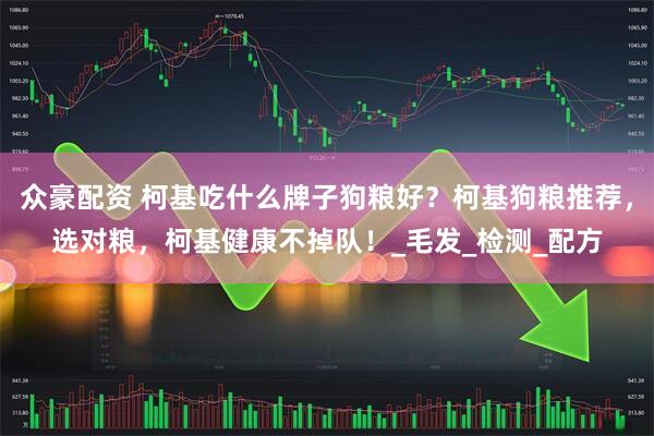 众豪配资 柯基吃什么牌子狗粮好？柯基狗粮推荐，选对粮，柯基健康不掉队！_毛发_检测_配方