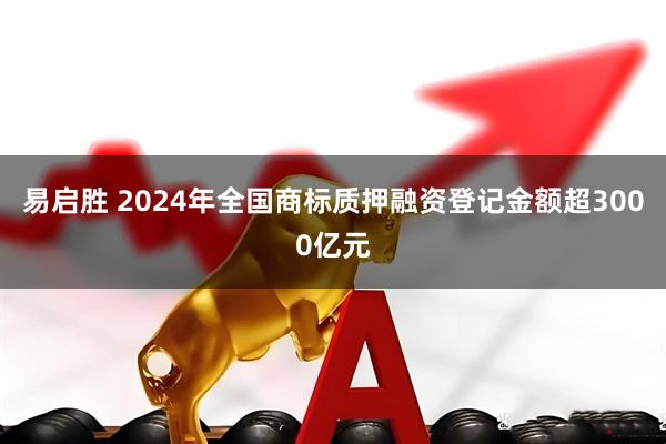 易启胜 2024年全国商标质押融资登记金额超3000亿元